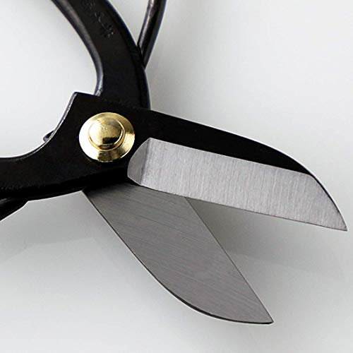 Wazakura Made in Japan Ikebana Tool Kit - Koryu Scissors + Black Kenzan Flower Holder, Japanese Floral Arrangement Set, Florist Shears and Pin Frog Wazakura