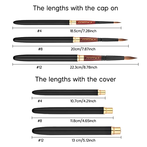 Kolinsky Travel Watercolor Brushes & Inspiration Art Dice, Fuumuui 3Pcs Plein Air Kolinsky Sable Watercolor Brushes With Wooden Art Dice for Adults, Fuumuui