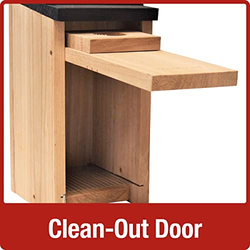 Nature's Way Bird Products CWH3 Cedar Bluebird Box House Nature's Way