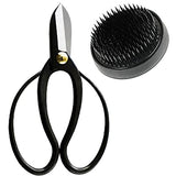 Wazakura Made in Japan Ikebana Tool Kit - Koryu Scissors + Black Kenzan Flower Holder, Japanese Floral Arrangement Set, Florist Shears and Pin Frog Wazakura