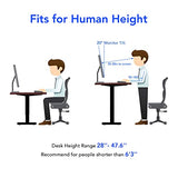 FLEXISPOT DIY Height Adjustable Standing Desk Frame Electric Sit Stand Desk Base, Home Office Stand up Desk Leg (White Frame Only) FLEXISPOT