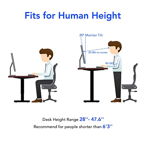 FLEXISPOT DIY Height Adjustable Standing Desk Frame Electric Sit Stand Desk Base, Home Office Stand up Desk Leg (White Frame Only) - WoodArtSupply