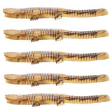 ibasenice 5pcs Crocodile Model Woody Toy Kids Arts and Crafts Toys Kids Crafts Animals Realistic Wood Crocodile Unfinished Wood Animal Toy Wooden ibasenice