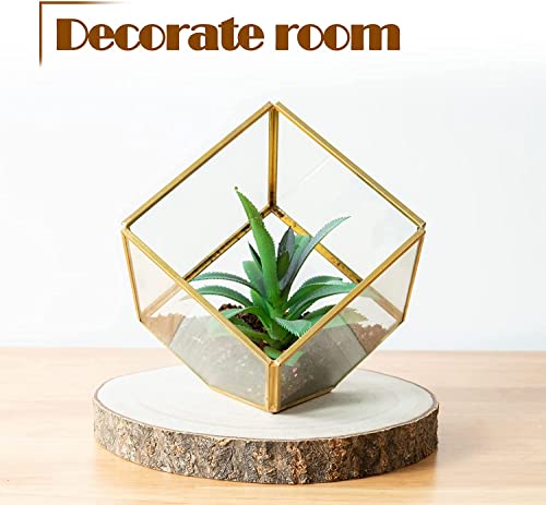 OBTANIM 5 Pcs Natural Wood Slices 4.7-5.5 Inch Large Unfinished Round Wooden Circles with Tree Bark for Table Centerpieces DIY Painting Crafts OBTANIM