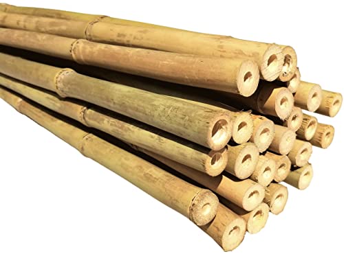 Dlh Western Natural Bamboo Poles, Eco-Friendly Plant Support Garden Stakes 6ft Long, Diameter of 5/8" (25-Count) Dlh Western