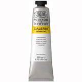 Winsor & Newton Galeria Acrylic Color, 200ml (6.75-oz) Tube, Titanium White Winsor & Newton