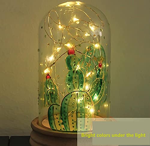 Stain Glass Paint, Non-Toxic Window Paint, Permanent Glass Paint Kit, Lacquer Based for Superior Stained Glass Art Paint, Glass Painting with Jinzi