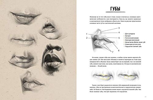 Pencil Portrait - Drawing Techniques - Anatomy, Proportions, Shading, Sketching, Composition and Draping: Анатомия Штрих Основы Светотени Драпировка ZenART Publishing