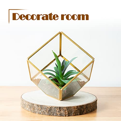 OBTANIM 5 Pcs Natural Wood Slices 6-7 Inch Large Unfinished Round Wooden Circles with Tree Bark for Table Centerpieces DIY Painting Crafts Wedding OBTANIM