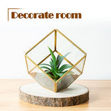 OBTANIM 5 Pcs Natural Wood Slices 6-7 Inch Large Unfinished Round Wooden Circles with Tree Bark for Table Centerpieces DIY Painting Crafts Wedding OBTANIM