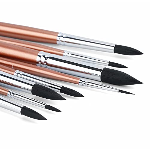 Transon 8pcs Round Watercolor Paint Brush Set Goat Hair for Watercolors,Acrylics,Inks,Gouache,Oil and Tempera TRANSON