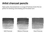 Winsor & Newton 0490025 Studio Collection, 6 Count (Pack of 1), Charcoal Pencils Winsor & Newton