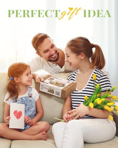 Rowood Wooden Dollhouse DIY Miniature House Kit,Tiny House Kits to Build to Live in,Mayberry Street Craft Model Kits for Adults with LED,Birthday RoWood