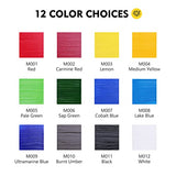 Magicfly Acrylic Paint 12 Colours/473ml, Large Bottles Acrylic Paint Set Rich Pigment Colours for Artists, Beginners, Amateurs on Glass, Stone, Magicfly