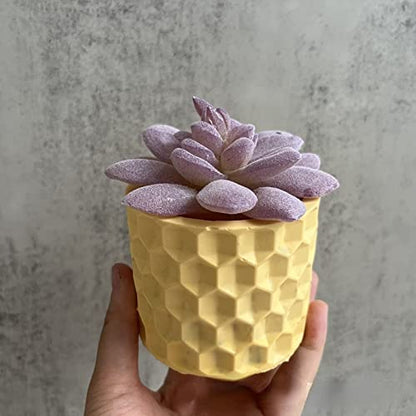 Round Honeycomb Concrete Flower Pot Silicone Mold Succulent Planter Vase Cactus Mold Candle Pen Holder Cement Clay Mold Epoxy Resin Jewelry Storage - WoodArtSupply