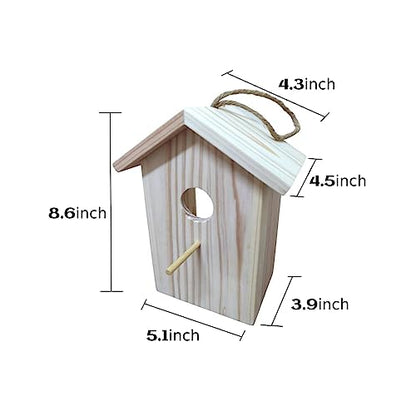 Formal Window Bird House with Paint Kit - See Through Birdhouse for Kids - Spy Birdhouse with Strong Suction Cups - Clear Birdhouse for Bird Feeder,