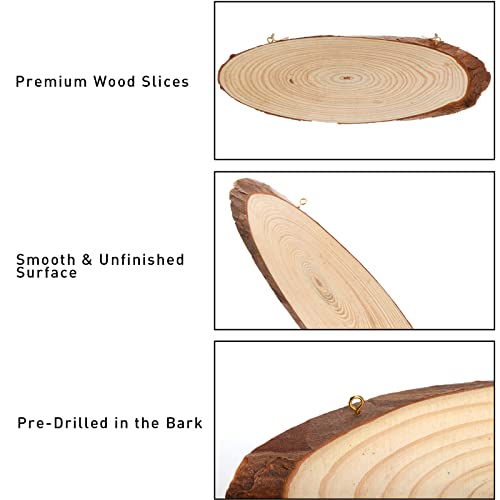 DEAYOU 8 Pack Natural Wood Slices, Unfinished Wood Crafts with Bark, Tree Slice Wooden Sign with Small Eye Ring, Wood Slab Plaque Plank for