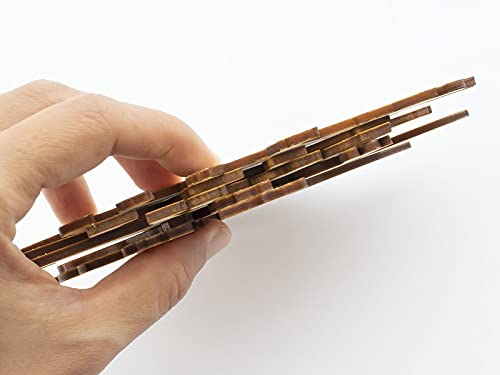 Summer-Ray 20 Wooden Dinosaur Laser Cutout DIY Craft Party Decoration Art Embellishment Room Decoration Summer-Ray.com