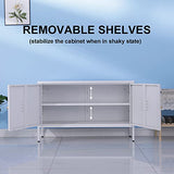 WISUNO Metal Accent Storage Cabinet for Bed Room,Living Room,Home,Hotel,Office,Garage,2-Tier, Removable Shelf (2 Door Accent Cabinet, White) WISUNO