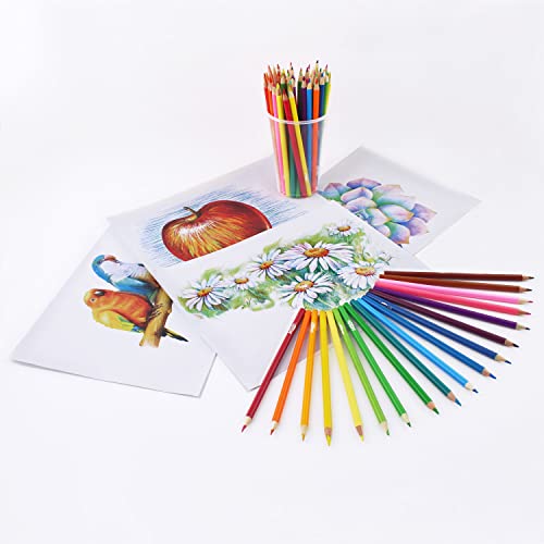 ARTISTIK Colored Pencil Set - (47 Pieces) Vivid 3.5 mm Artist