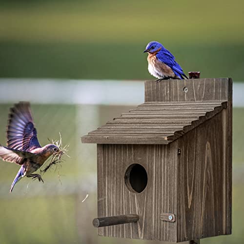 Bird House for Outside with Predator Guard, Nesting Box Birdhouse for Outdoor Wild Bird Watching, Royal Blue CLACKIBUKVYZ