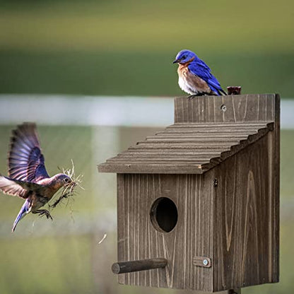 Bird House for Outside with Predator Guard, Nesting Box Birdhouse for Outdoor Wild Bird Watching, Royal Blue - WoodArtSupply