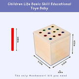 Montessori Box Play Kit, Early Child Development Learning Material for 1-3 Years Old Babies (Play Kit, 4 for 1) Tiger Montessori