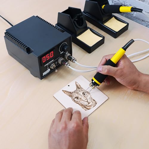 Wood Burning Kit or Wood Burning Tool - Professional Grade High Adjustable Temperature (1500 F) with Two Wood Burning Pen Pyrography Wood Burning Kit ZOOM PRECISION
