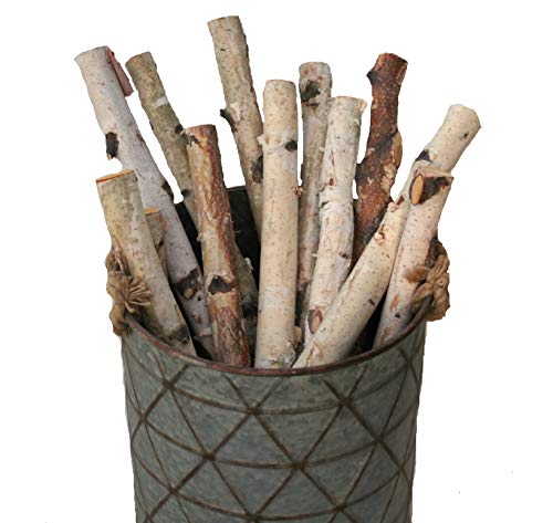 Wilson Decorative White Birch Logs, Natural Bark Wood Home Décor (Set of 12) - 17"-18" in Length 1"-1.5" Dia.