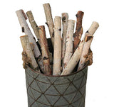 Wilson Decorative White Birch Logs, Natural Bark Wood Home Décor (Set of 12) - 17"-18" in Length 1"-1.5" Dia. Wilson