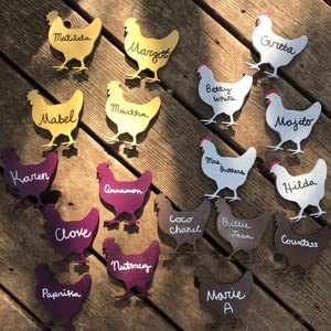 Unfinished Wood Hen Chicken Shape - Farm Animal - Craft - up to 24" DIY 7" / 1/8" 24 Hour Crafts