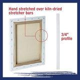 U.S. Art Supply Professional Quality Stretched Canvas, Multipack of 10 Medium Sizes, 2 Each 5x7, 8x10, 11x14, 12x16, 16x20 Inches - 12-Ounce Primed, U.S. Art Supply