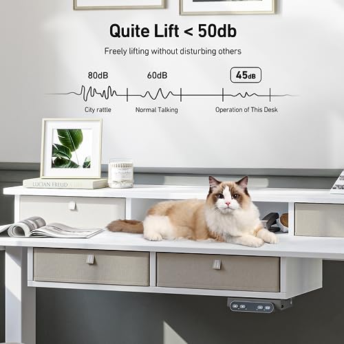 FEZIBO Sturdy Height Adjustable Electric Standing Desk with Drawers, 55 x 24 Inch Stand Up Table with Large Storage Shelf, Sit Stand Desk, White Top FEZIBO
