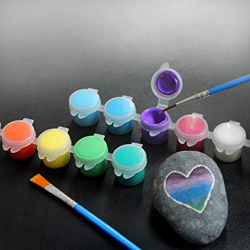 Acrylic Paint Set for Craft Paint for Kids 12 Colors 2 Paint Brushes  Included