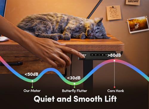 FEZIBO Adjustable Height Electric Standing Desk with Double Drawer, 55x 24 Inches Stand Up Home Office Desk with Splice Tabletop, Black Frame/Fir FEZIBO