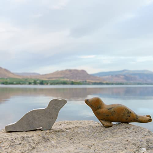 Studiostone Creative DIY Arts & Crafts Carving Kit Kids Adults Seal Sculpture Soapstone Studiostone Creative