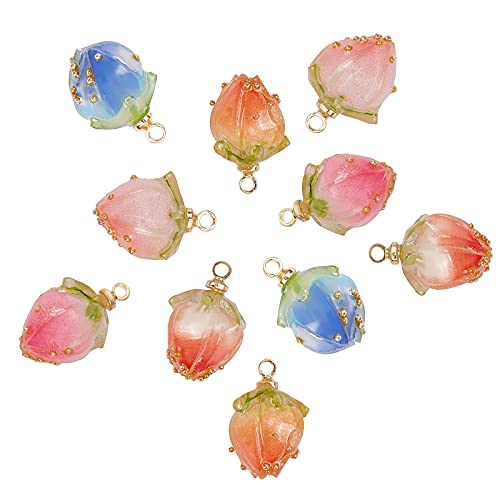 SUNNYCLUE 1 Box 10Pcs 5 Styles Dried Flower Charms Transparent Clear Epoxy Resin Pendants with Brass Hole 1.2mm Glass Micro Beads for DIY Earrings - WoodArtSupply