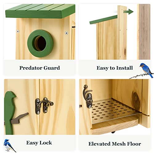 Kingsyard Classic Bird House with Prdator Guard, Bluebird Wren Chickadee Viewing House, Wooden Nesting Box for Outdoor Garden Patio, Green Kingsyard