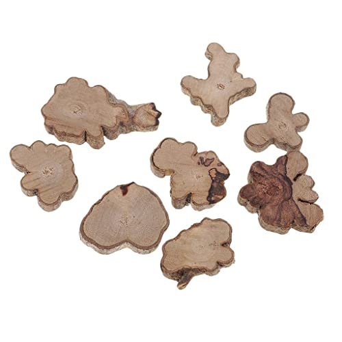 30pcs Irregular Wood Log Slices Natural Tree Decorative Embellishments SYZ-inems
