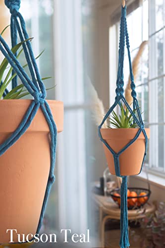 Macrame Kit, Makes 3 DIY Plant Hangers for Teens & Adult Beginners, Craft Supplies for Boho Art Project-3 Custom Color Macrame Cord, Wooden Rings & - WoodArtSupply