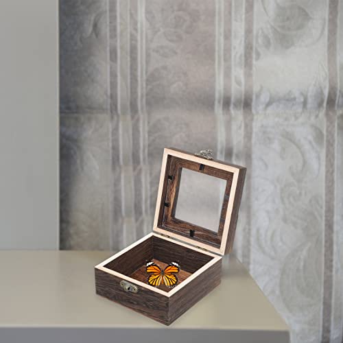 Mipcase Wood Glass Top Jewelry Display Case Accessories Storage, Wooden Jewelry Tray for Collectibles, Home Organization Box with Metal Clasp and Mipcase