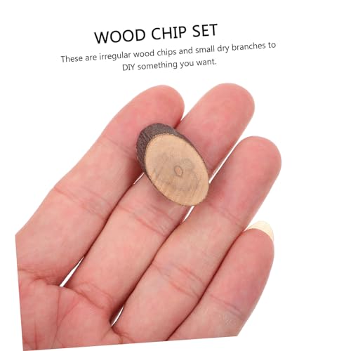 TEHAUX 1 Set Wood Chip Set Tree Bark Slices Wood Slice Wood Aquarium Ornament Unfinished Log Sticks Natural Wood Discs Wood Embellishment Mini Tools TEHAUX