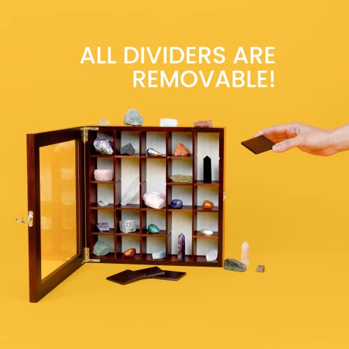 SmartyRocks Adjustable Rock Display Case - Rock Collection Box with Fabric Bed for Rock and Mineral Display - Dark-Finish Shadow Box with Shelves for SmartyRocks