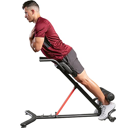 Sunny Health & Fitness Hyperextension incline,flat Roman Chair with Dip Station - SF-BH620062 , Black - WoodArtSupply