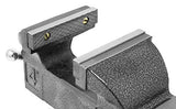 WEN Bench Vise, 4-Inch, Cast Iron with Swivel Base WEN