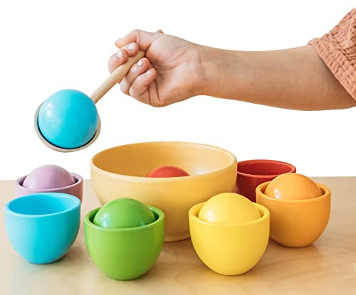 Montessori Large Rainbow Colored Sorting Ball in Cup | Preschool Color Matching Toy | Gross Motor Transfer Activity | 6 Toddler Safe Wooden Balls