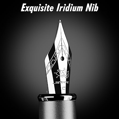 JINHAO Fountain Pen Fine Nib, Includes Ink Cartridges & Converter, Perfect Weight, Optimal Flow, No Skips WEERSHUN