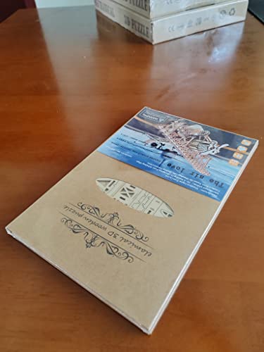 3D Wooden DIY Ferris Wheel Puzzle Kit - Perfect Educational Gift for All Ages ROEOLNIL