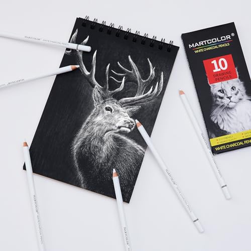 MARTCOLOR White Charcoal Pencils for Drawing, Professional 10 Pieces White  Colored Pencils for Sketching, Shading, Blending, White Chalk Pencils for
