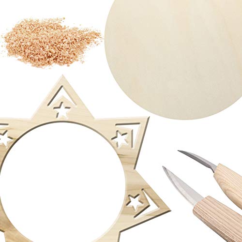 ZOEYES 20 Pack 10 inch Wood Rounds Unfinished Wooden Circles 1/8 inch Thick Basswood Plywood Wooden Sheets Wood Circle for Crafts Painting Door